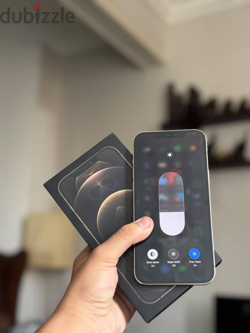 IPhone 12 Pro Max 1