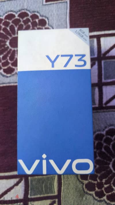 Vivo Y73s