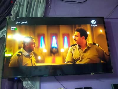 ساشا اسمارت