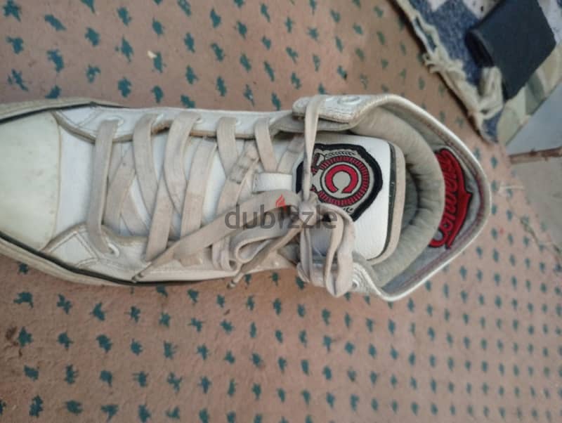 convers primeum 1