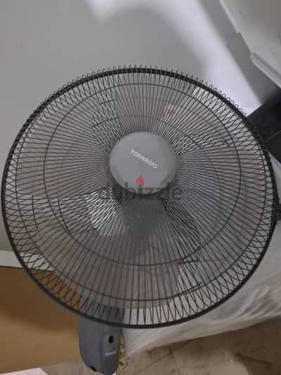 Wall Fan Tornado for sale