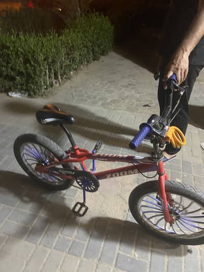 الشيخ زايد