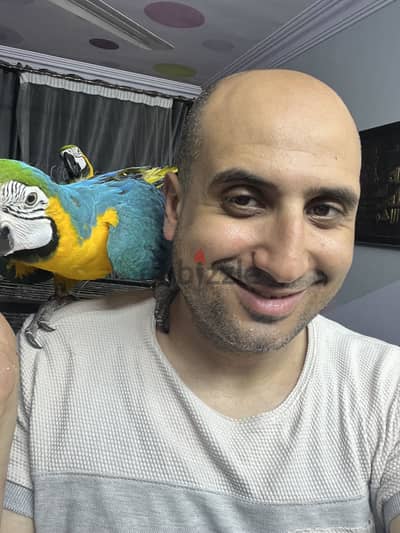بسم الله مشاء الله متاح مكاوات هذاء من فضل ربي سعر حته 95 الف هدين جدا