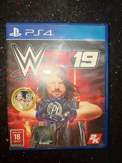 PS4 WWE 2K19 CD disk video game.