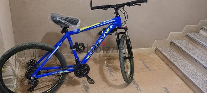 Phoenix Raider Mountain Bike