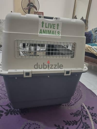 large live animals box for airports