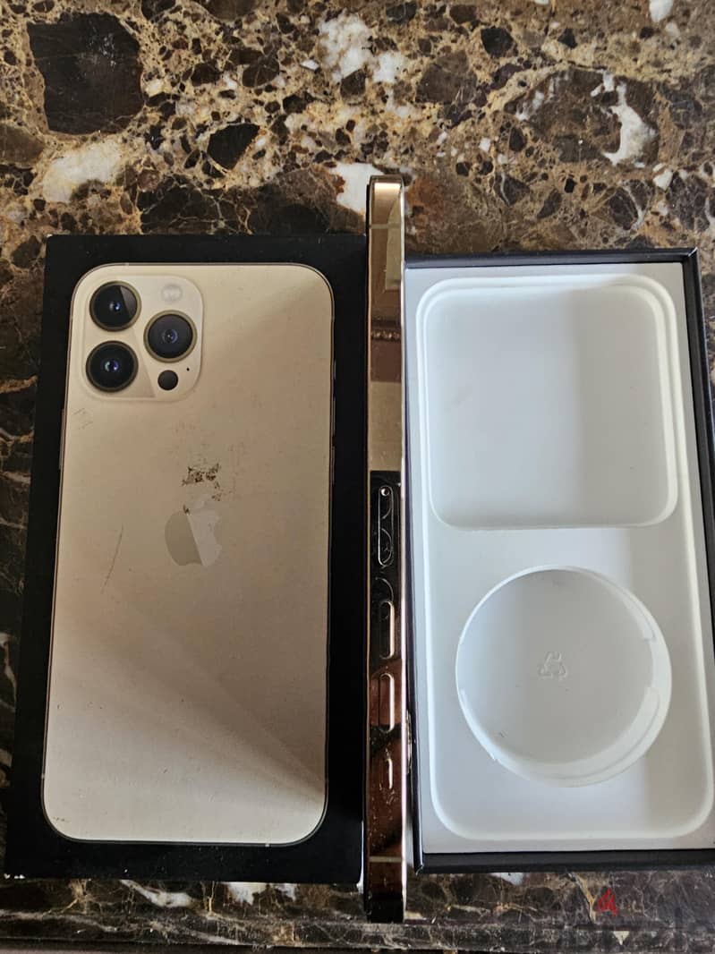 Apple - iPhone 13 Pro Max 6