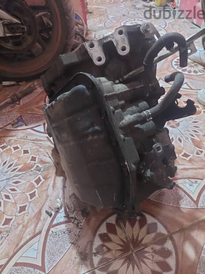 تفتيس  ٢٠١٣