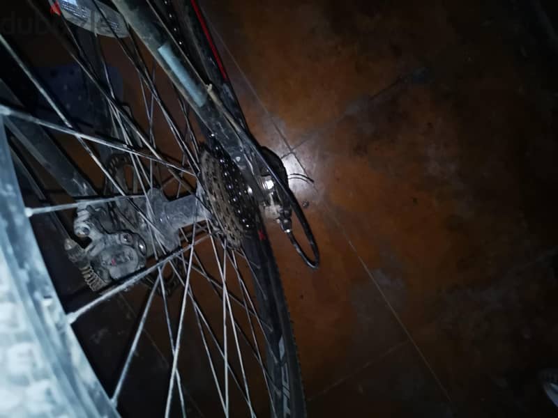 trinx m136 1