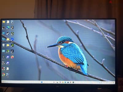ViewSonic vx2479A-HD-Pro 240 Hz Gaming Monitor