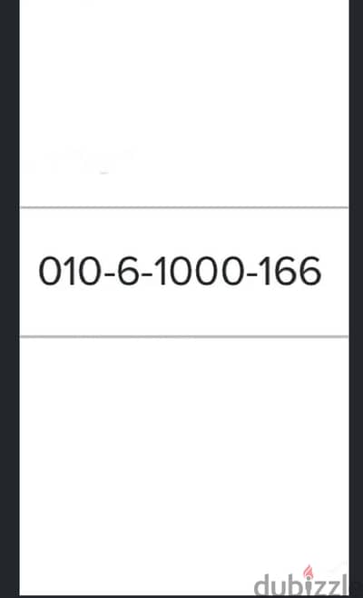 010-6-10001-66