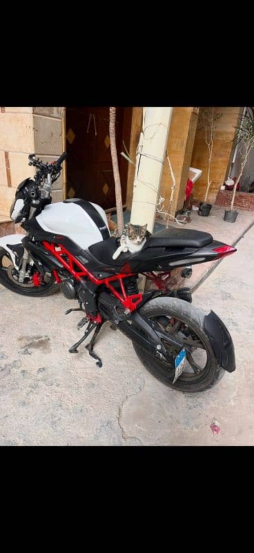 محرم بك