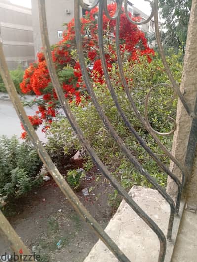 شقة للإيجار سكن لأسرة بالقرب من شارع مصطفى النحاس