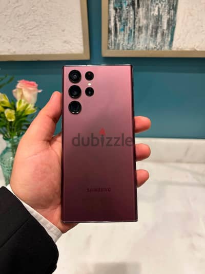 Samsung S22 Ultra 256/12