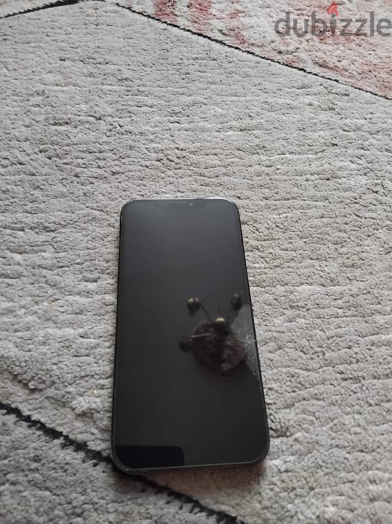 12 pro max 6