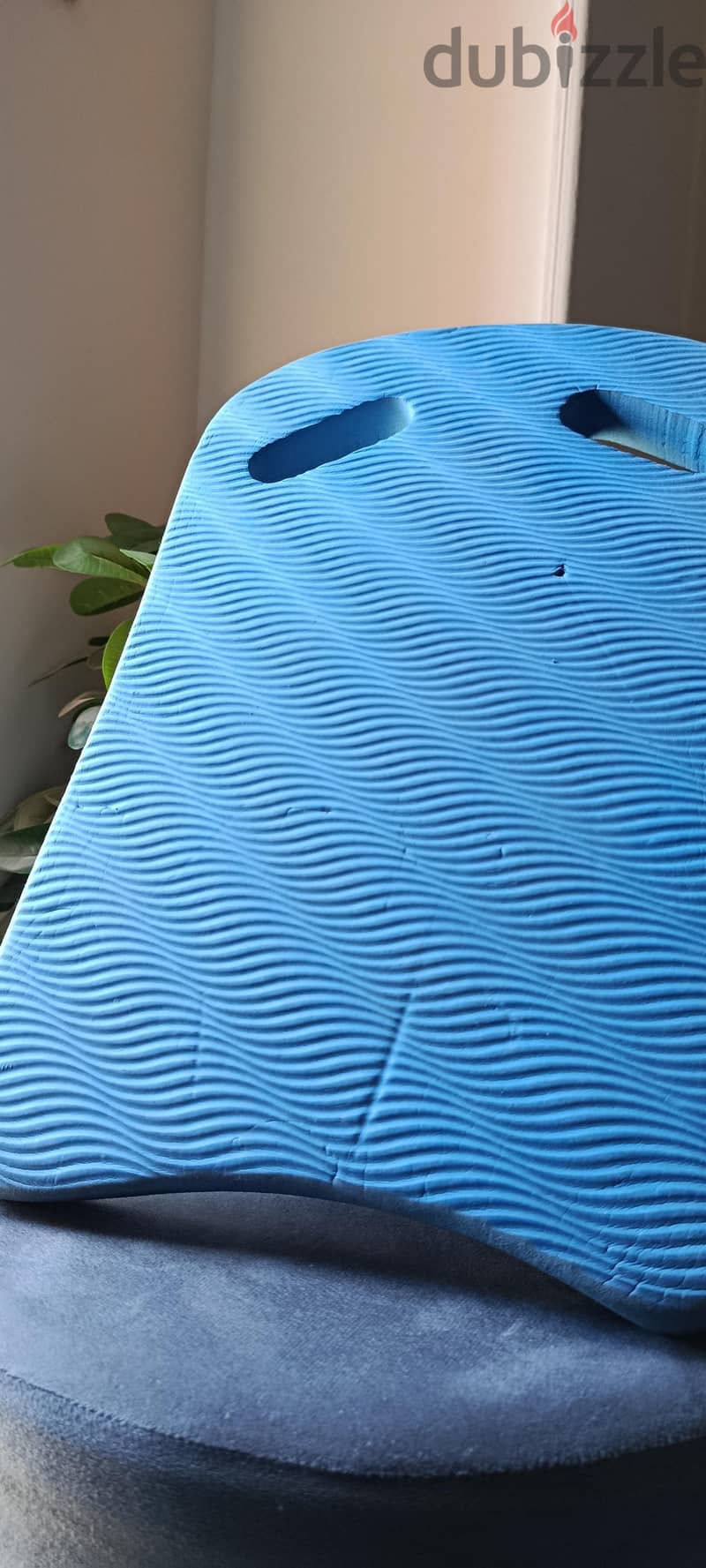 swimming board 1