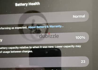 Ipad Pro M4 13 inch (wifi only) for sale