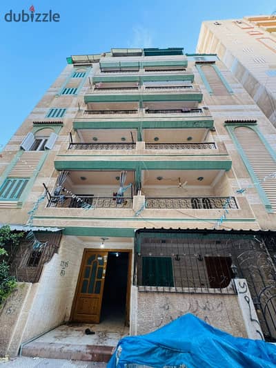 شقه مميزه للبيع بالإسكندرية العجمي شطي النخيل ٦اكتوبر الكيلو ٢١ اسكندرية مطروح