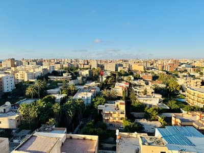 شقه مميزه للبيع في الإسكندرية العجمي شطي النخيل ٦اكتوبر الكيلو ٢١ اسكندرية مطروح