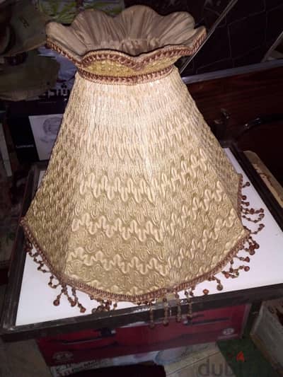 ستارة ابجيور طول ٧٥