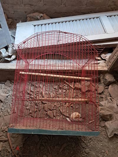مجموعه اقفاص كوكتبل  بالبياته