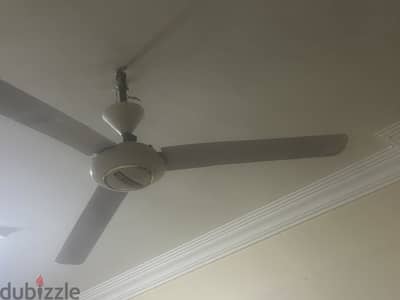 مروحة فريش 3 ريشة