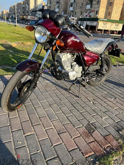 هوجن 3 2024