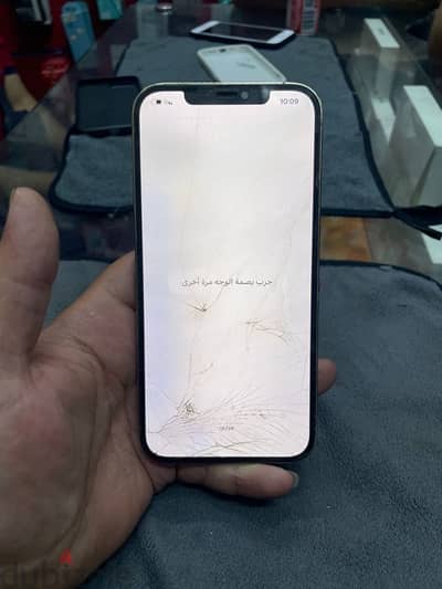 12 برو ماكس للبدل