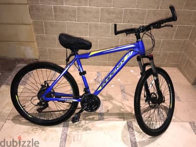 Phoenix Raider Mountain Bike