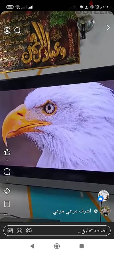 شاشه سامسونج 55 بوصه اندرويد كيرف