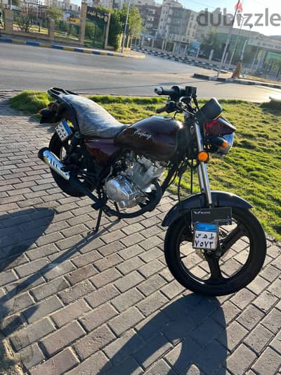 هوجن 3 2024