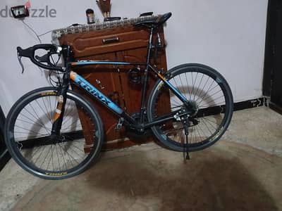 عجله trinx timpo 1.5