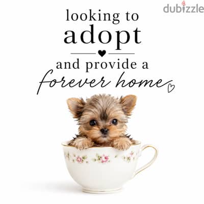 Adopt a smaller sized fur baby