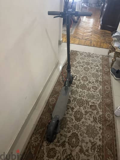 Crony electric scooter