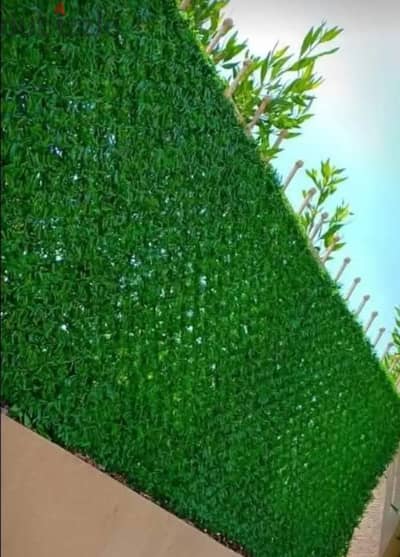 نجيل اسوار