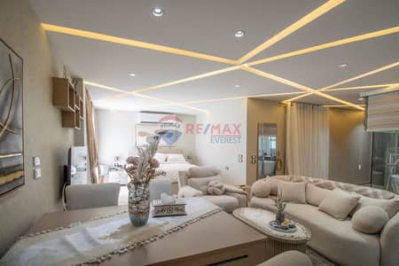 Luxurious furnished apartment in Zayed Regency