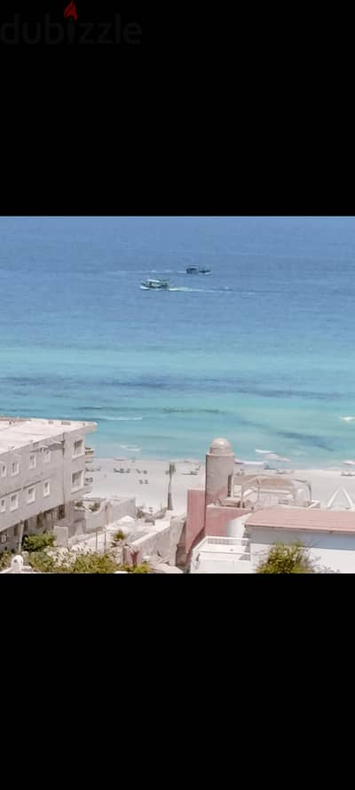 شقة للإيجار فندقى على البحر مكييفه فى اسكندرية بيانكي من المالك مباشره