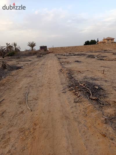 قطعه ارض للبيع في الثروه الخضرا الشيخ زايد لوكيشن مميز مساحه الارض 1000 متر  علي نسبه بناء علي 27.5 % قريبه من شارع النزهه وقريبه من طريق مصر اسكندريه الصحراوي في حد
