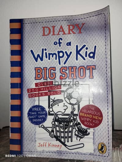 2 diary of a wimpy kid books