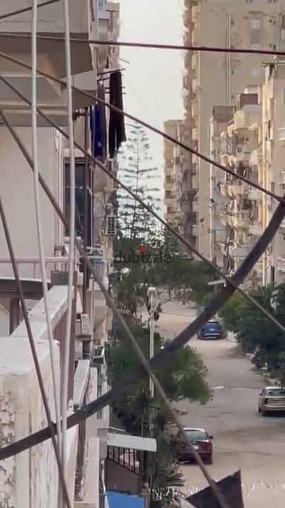 شقه للبيع بالإسكندرية العجمي شطي النخيل ٦اكتوبر الكيلو ٢١ اسكندرية مطروح