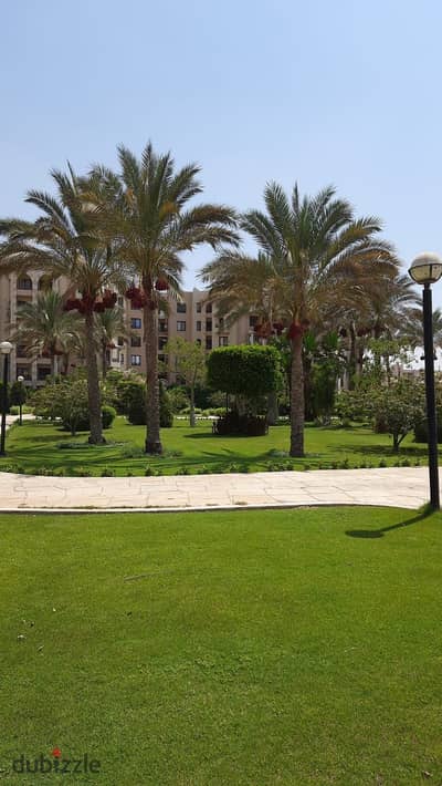 شقة للايجار المفروش بالرحاب 1 ( المرحلة الخامسة مكيفة بالكامل ) فيو وايد جاردن باسانسير دور متكرر ( 90 متر ) غرفتين نوم وحمام شقة للايجار المفروش بالرحاب 1 ( المرحلة الخامسة مكيفة بالكامل ) فيو وايد جاردن باسانسير دور متكرر ( 90 متر ) غرفتين نوم وحمام