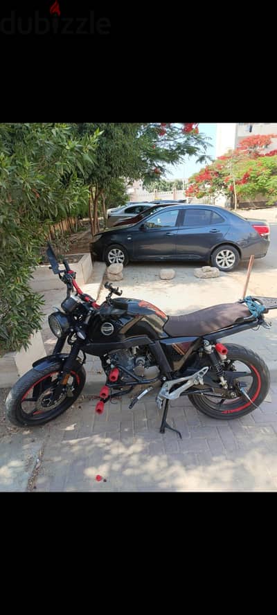 Hogan V250 2024 (15000)Km