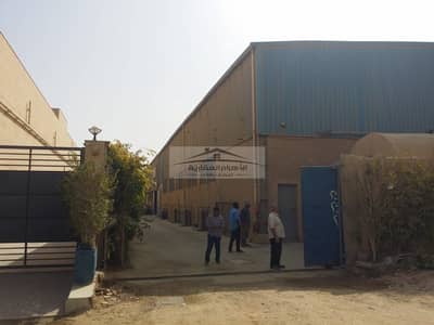 Warehouse for rent, 6000 sq m, licensed for general storage, first use 10th of Ramadan City
