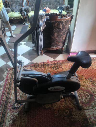 gym equipment