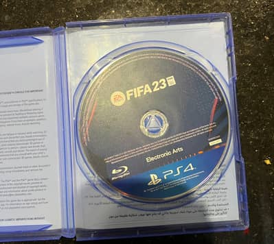 فيفيا 2023