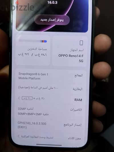 اوبو رينو 14