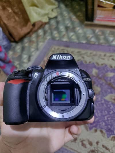 Nikon D3100