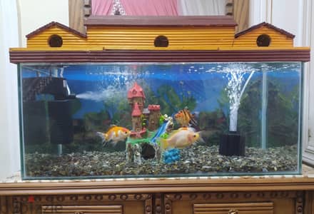 حوض سمك مقاس 70 × 30 سم
