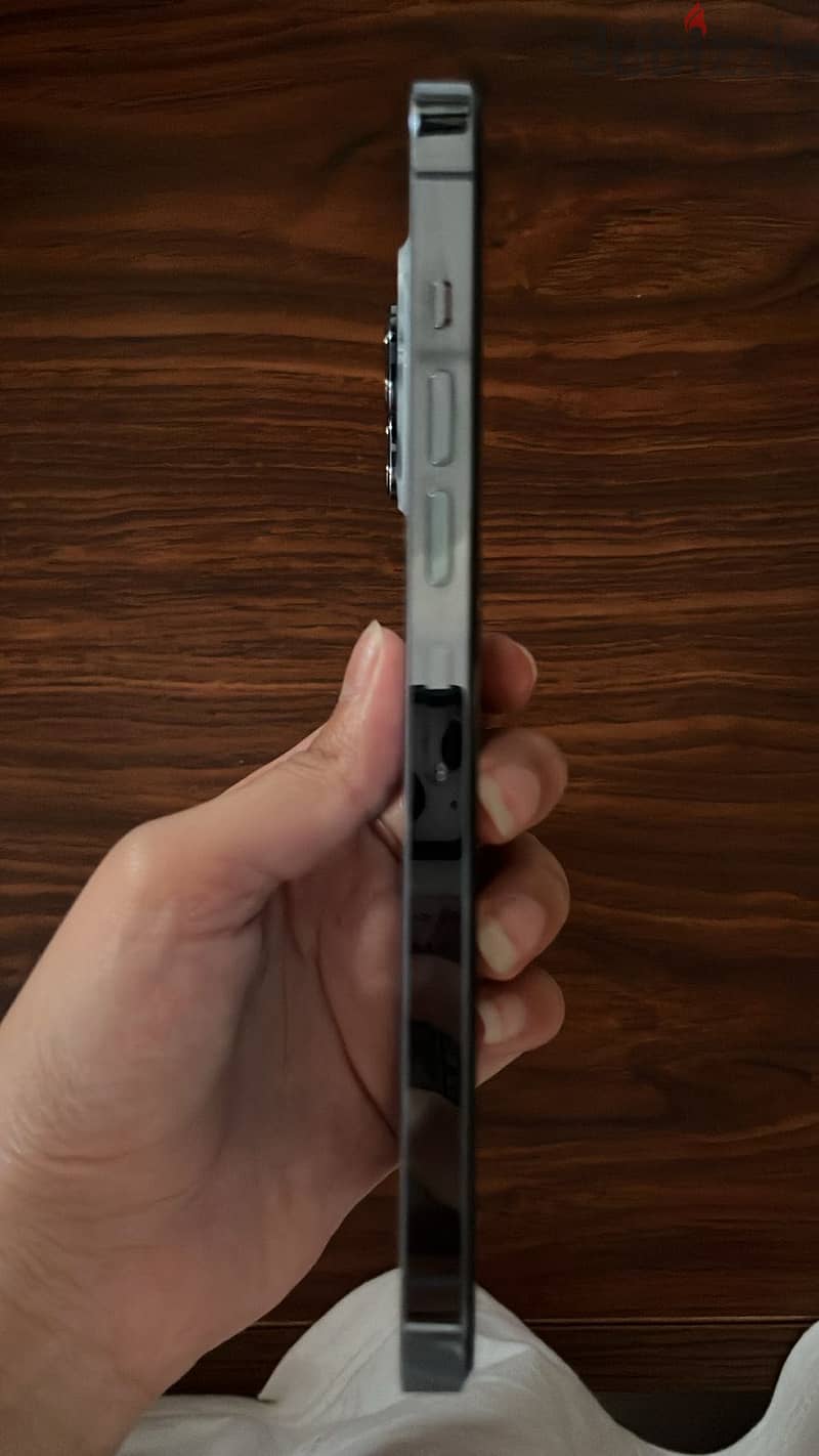 Apple - iPhone 13 Pro Max 2