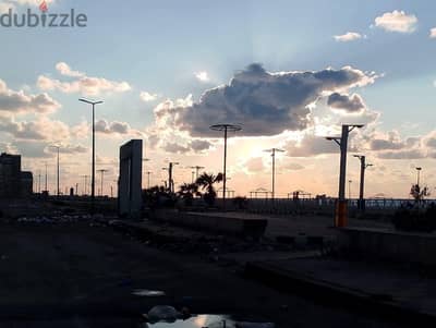 اوبو رينو 2 اف